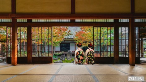 Tranh dán tường phong cảnh NHật bản T321-442